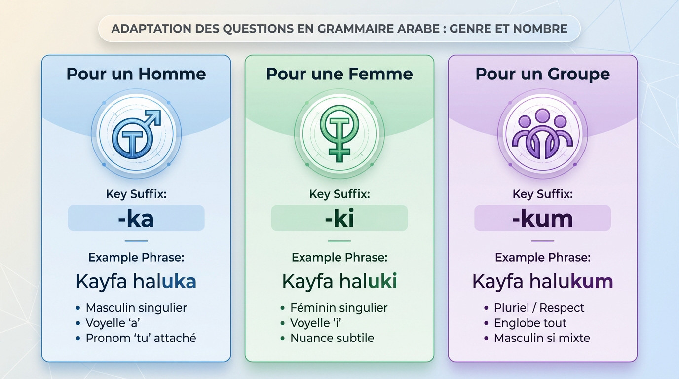 Illustration des règles grammaticales arabes pour adapter la question ça va selon le genre et le nombre